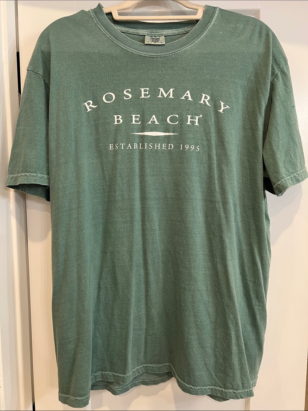 Comfort colors Rosemary Beach Green Graphic Tee - Men's Casual Shirt